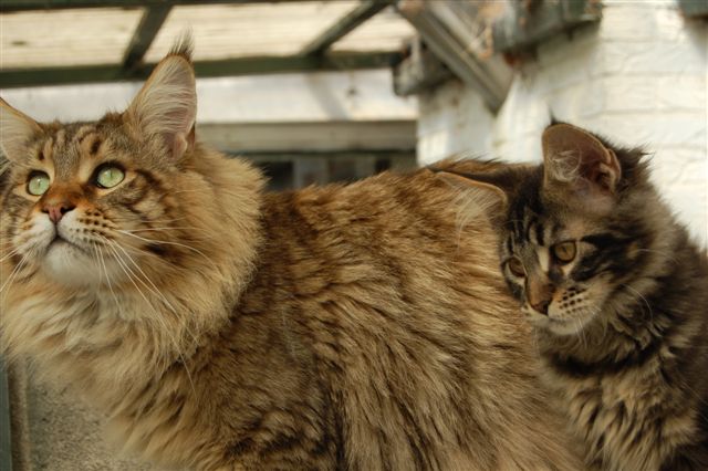 youp gaga en nina week 15 034.jpg